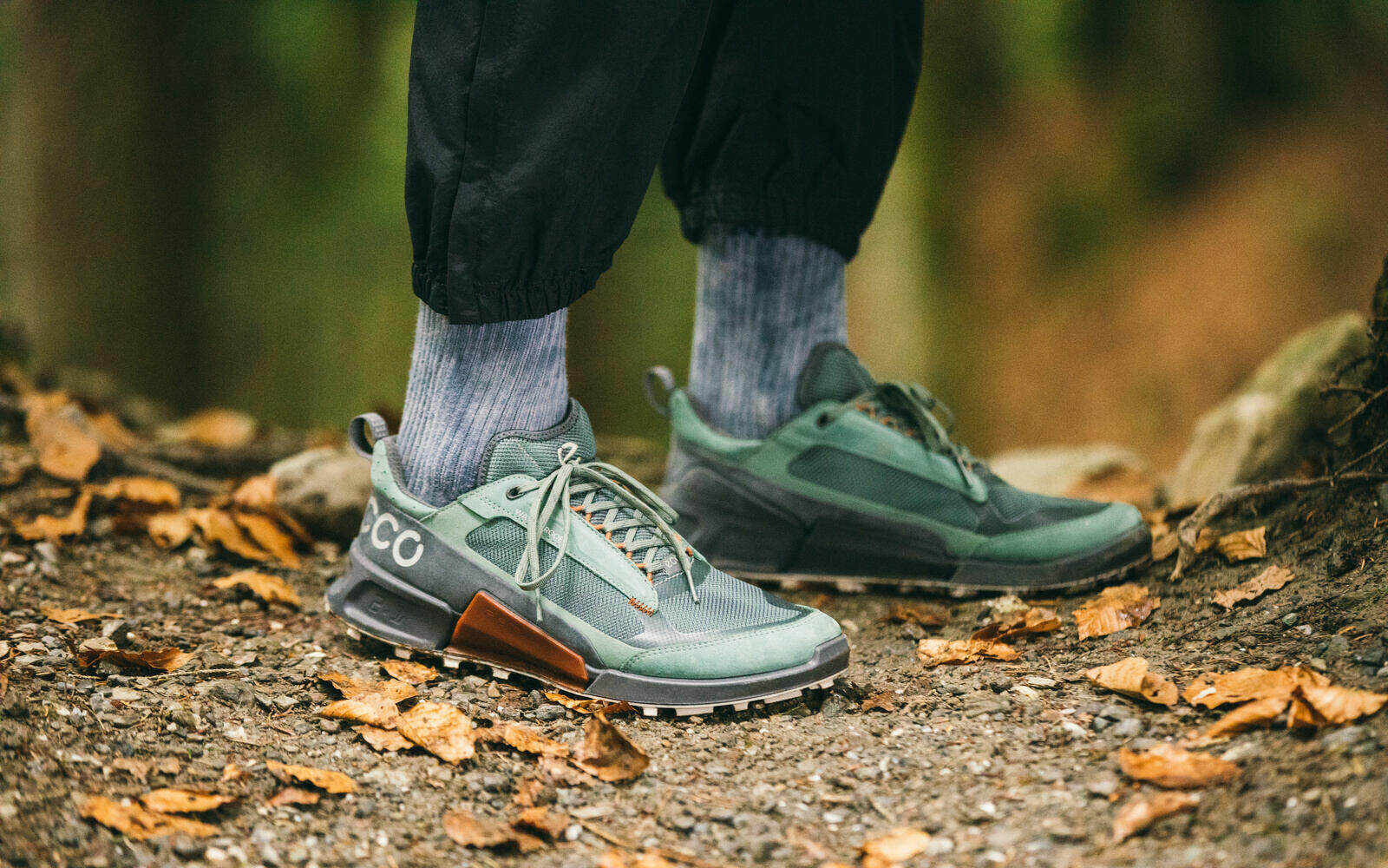 ecco official online store